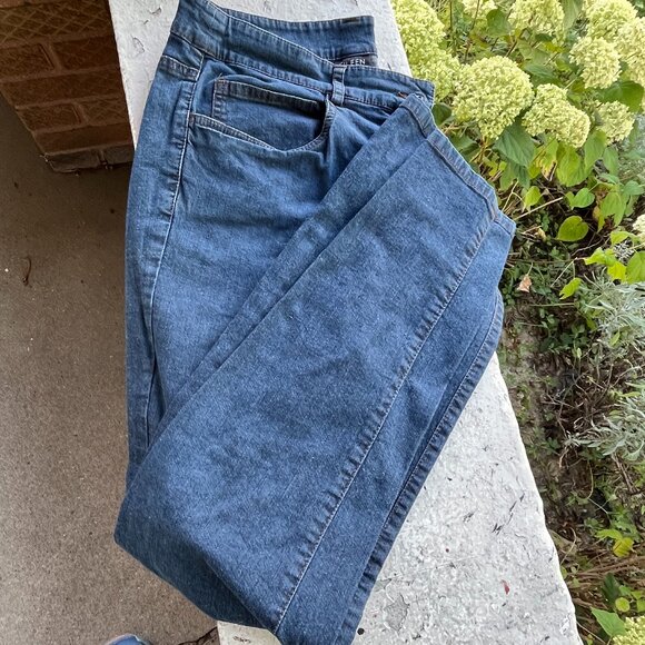 EILEEN FISHER Blue Denim Stretch Straight Leg Jeans Pants PM 8 10 Petite - Picture 1 of 8